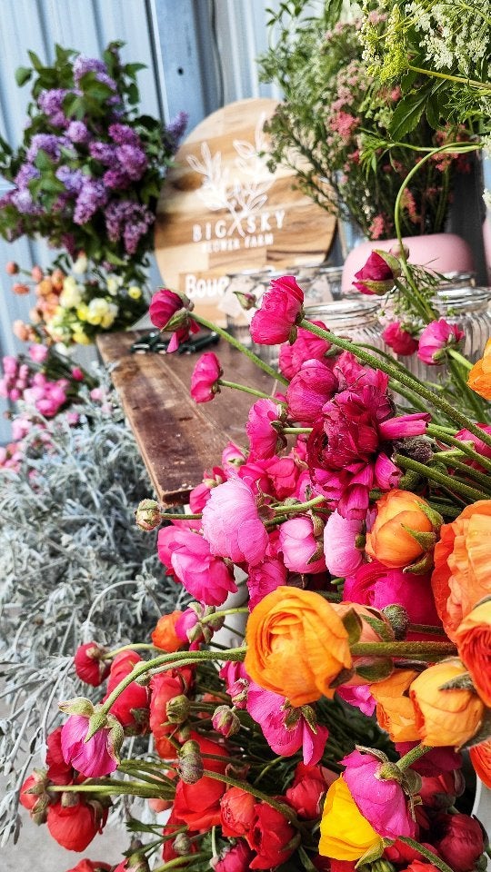 Gallery | Big Sky Flower Farm